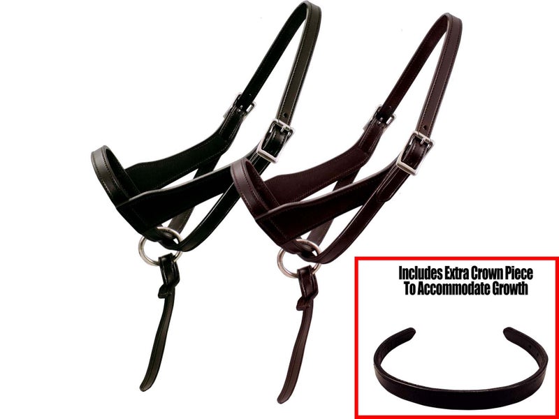 Paris Tack Double Layered Leather Grow with Me Adjustable Horse Foal Halter with Extra Crown Piece - Image 2